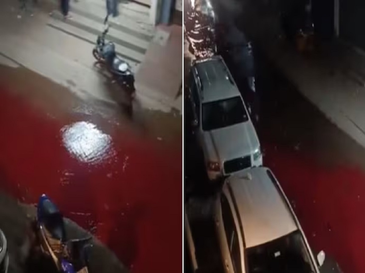Viral Video