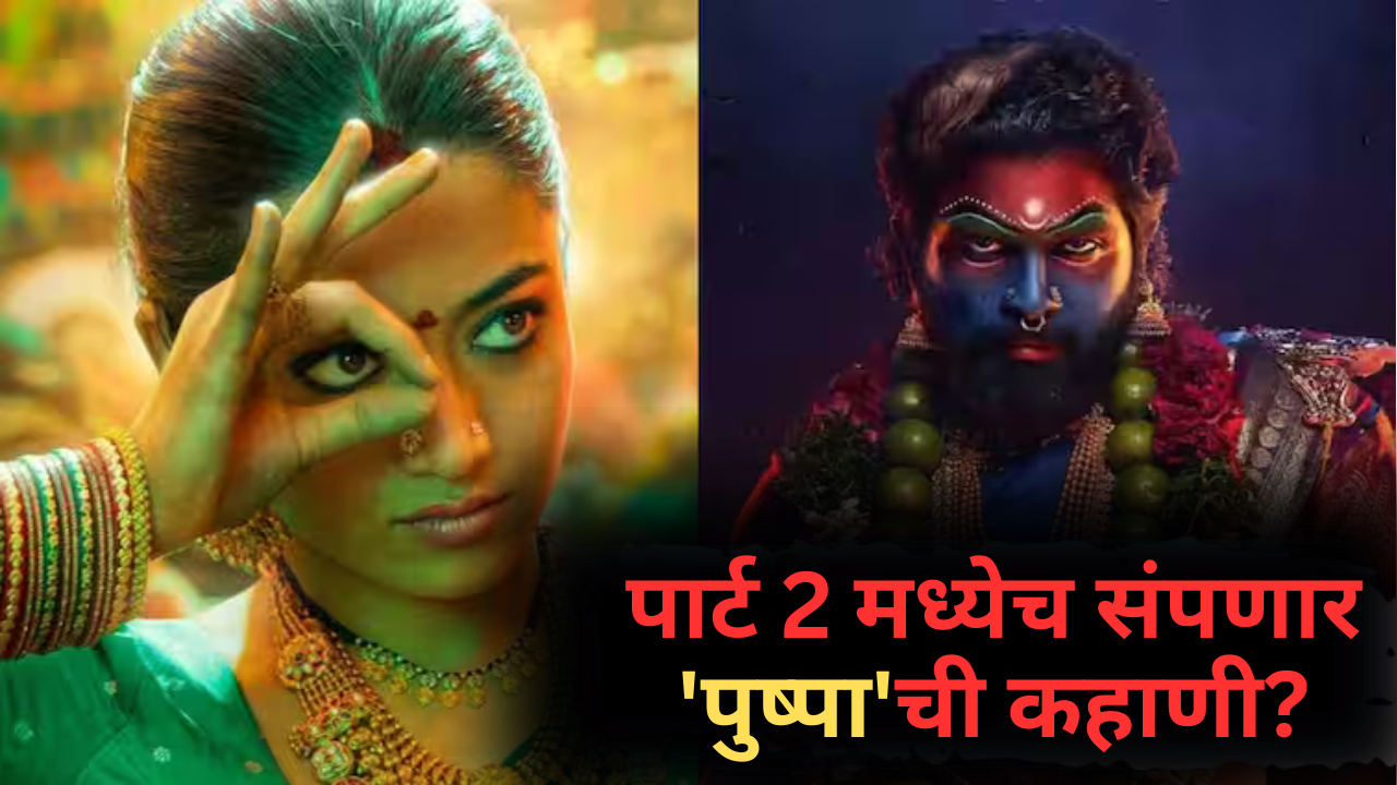 Pushpa 2 Third Part Hint