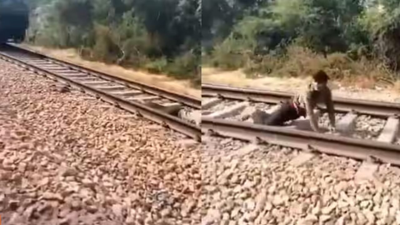 Train Viral Video
